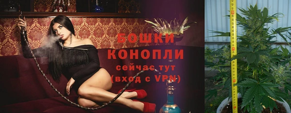 спиды Абаза